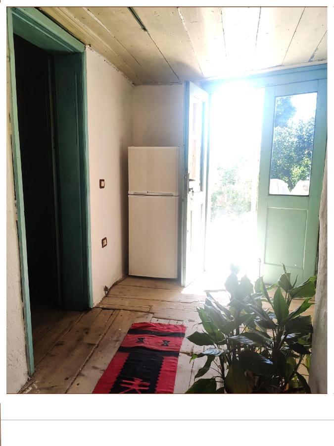 At Gjergj Fishta Apart-House Шкодер Экстерьер фото